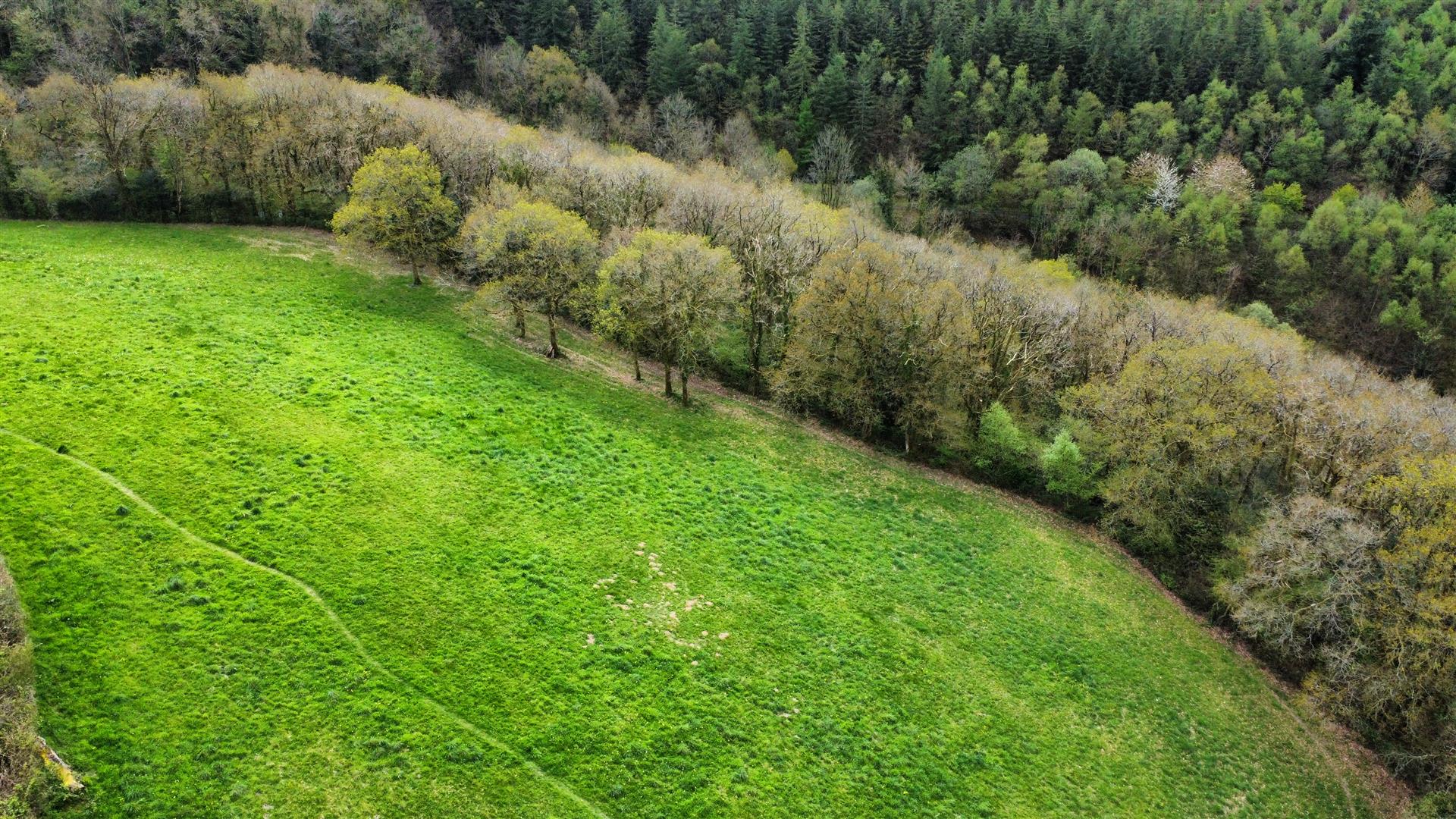 13.43 acres of Land at Gelliwen, St. Clears offered for sale in 3